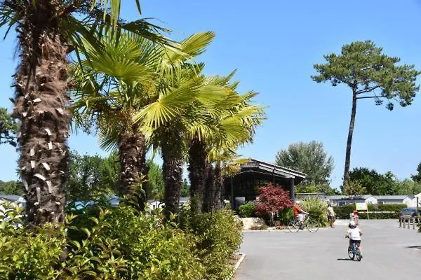Parque de Campismo Mobil Xxl - Bord - Les Viviers - Cap Ferret *